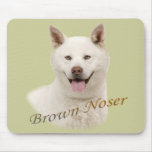 Akita Brown Noser
