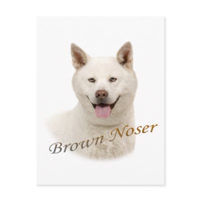 Akita Brown Noser by friskybiz