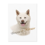 Akita Brown Noser postcards