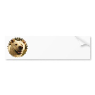 Akita Bumper Stickers by DogPoundGifts