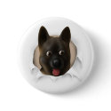 Akita Busting Out buttons