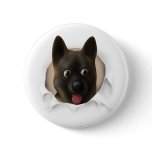 Akita Busting Out buttons