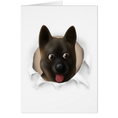 Akita Busting Out Cards by cartoondogs
