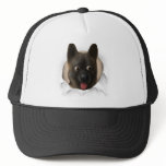 Akita Busting Out