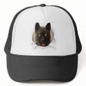Akita Busting Out hats