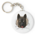 Akita Busting Out keychains