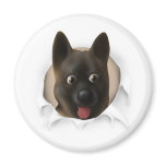 Akita Busting Out