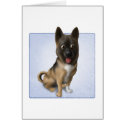 Akita cards