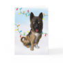 Akita Christmas