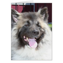 Akita dog card