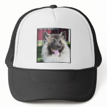 Akita dog mesh hats