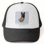 Akita Favourite