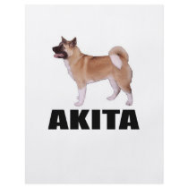 Akita Full Color Flyer
