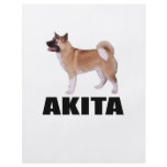 Akita flyers