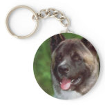 AKITA Gifts Art keychains