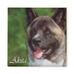 Akita Gifts