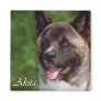 Akita Gifts