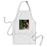 Akita Gifts of Art Aprons