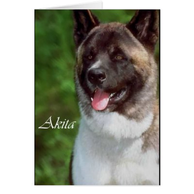 Akita Gifts of Art Greeting Cards by DogsByDezign