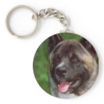 Akita Gifts of Art Key Chains
