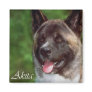 Akita Gifts of Art Magnet
