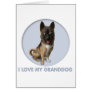 Akita Granddog