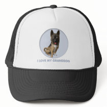 Akita Granddog