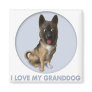 Akita Granddog