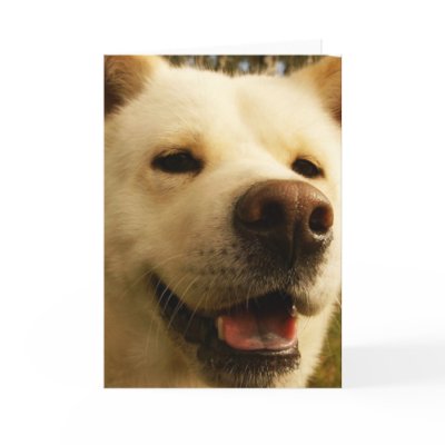 Akita Greeting Card by DogPoundGifts
