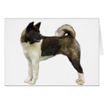 Akita greetingcard