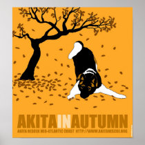 Akita in Autumn (15" x 16") Poster