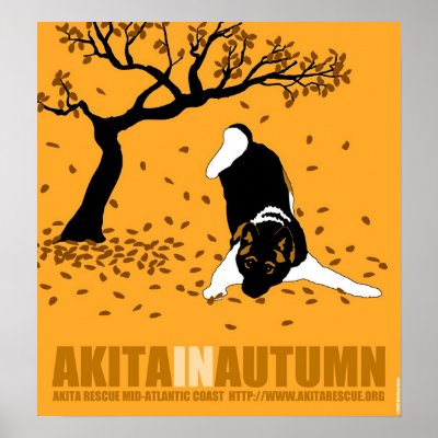 Akita in Autumn (18" x 19.5") Poster by Azamiryou