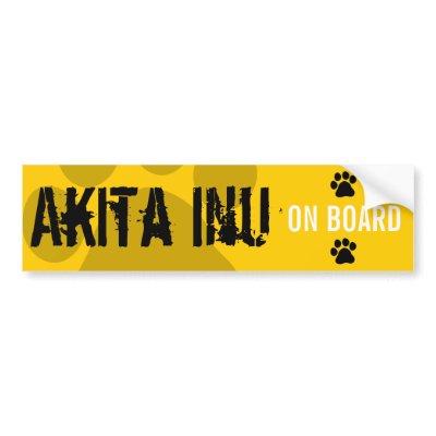 Akita Inu on Board by FCACshelter