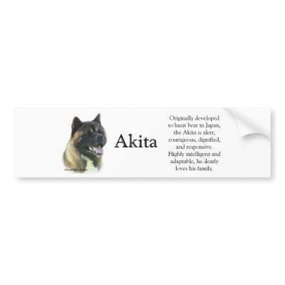 Akita Inu Trivia Bumper Sticker by GreyWolfCreation