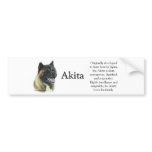 Akita Inu Trivia Bumper Sticker bumper stickers