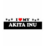 AKITA INU t-shirts