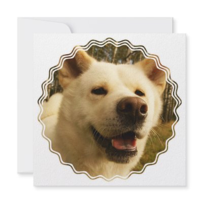 Akita Invitation by DogPoundGifts