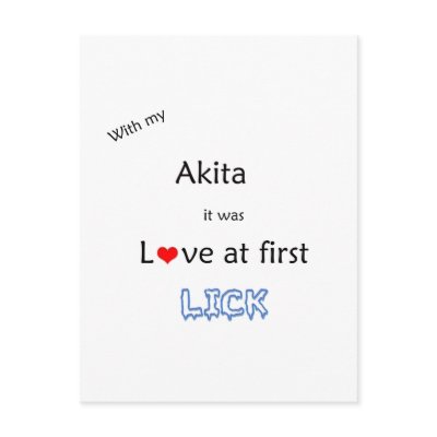 Akita Love at First Lick Postcards by GreyWolfCreation