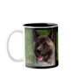 Akita Lovers Gifts Mugs