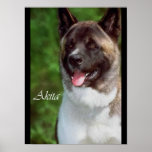 Akita Lovers Posters and Prints
