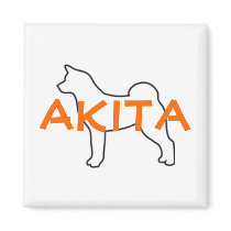 Akita magnet