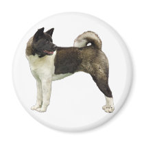 Akita magnet