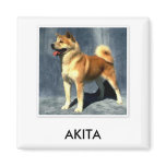Akita Magnet