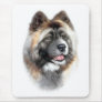 Akita