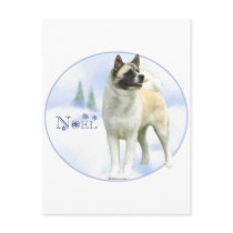 Akita Noel