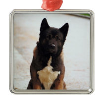 Akita Ornament