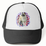Akita Patriot Mesh Hat