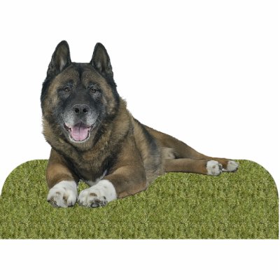 Akita Acrylic Cut Out by Photo_Sculpture_Shop