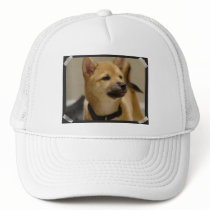 Akita Pictures Baseball Hat