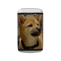 Akita Pictures Blackberry Bold Case